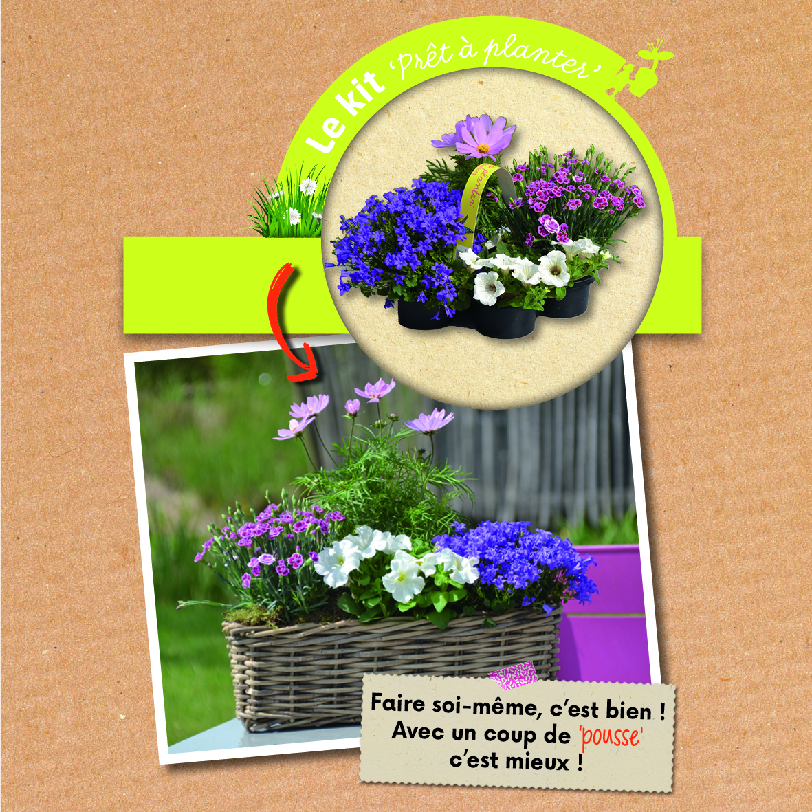 Vignette KIT site CDS2
