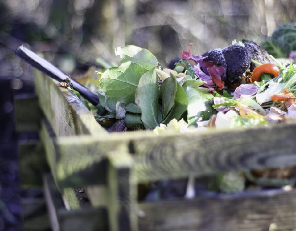 Tri a la source des biodechets