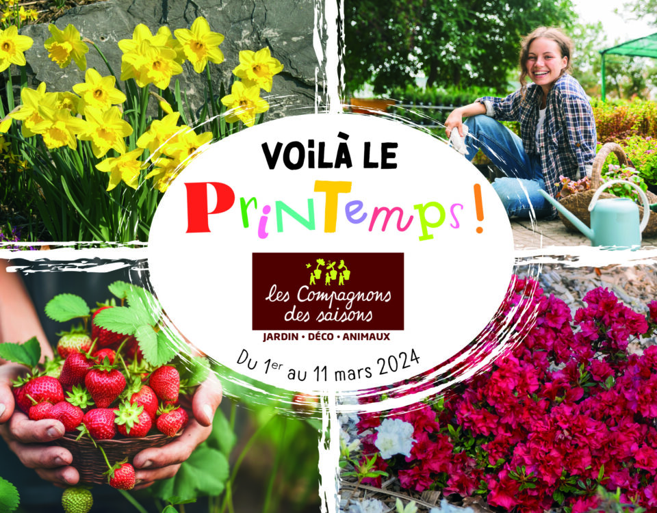 Les tendances jardin du moment