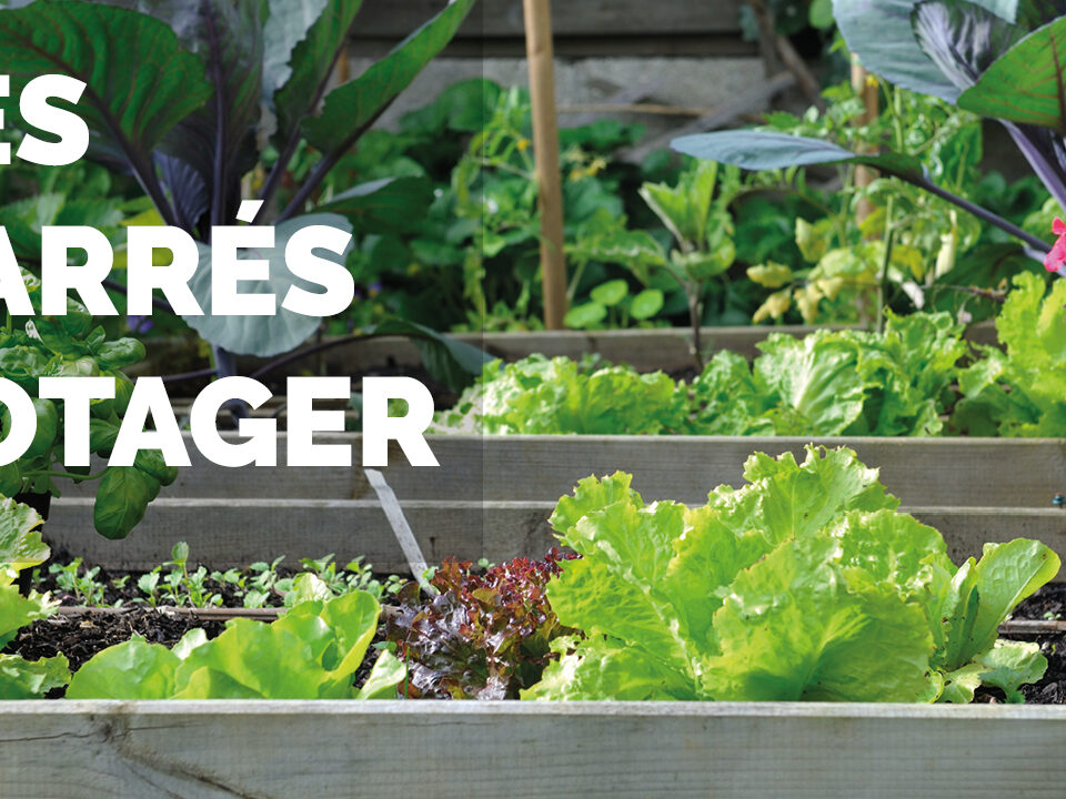 carré potager articles CDS