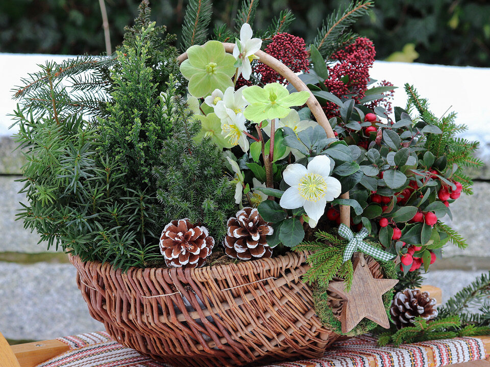 Articles les baclnonnires d'hiver les compagnons des saisons