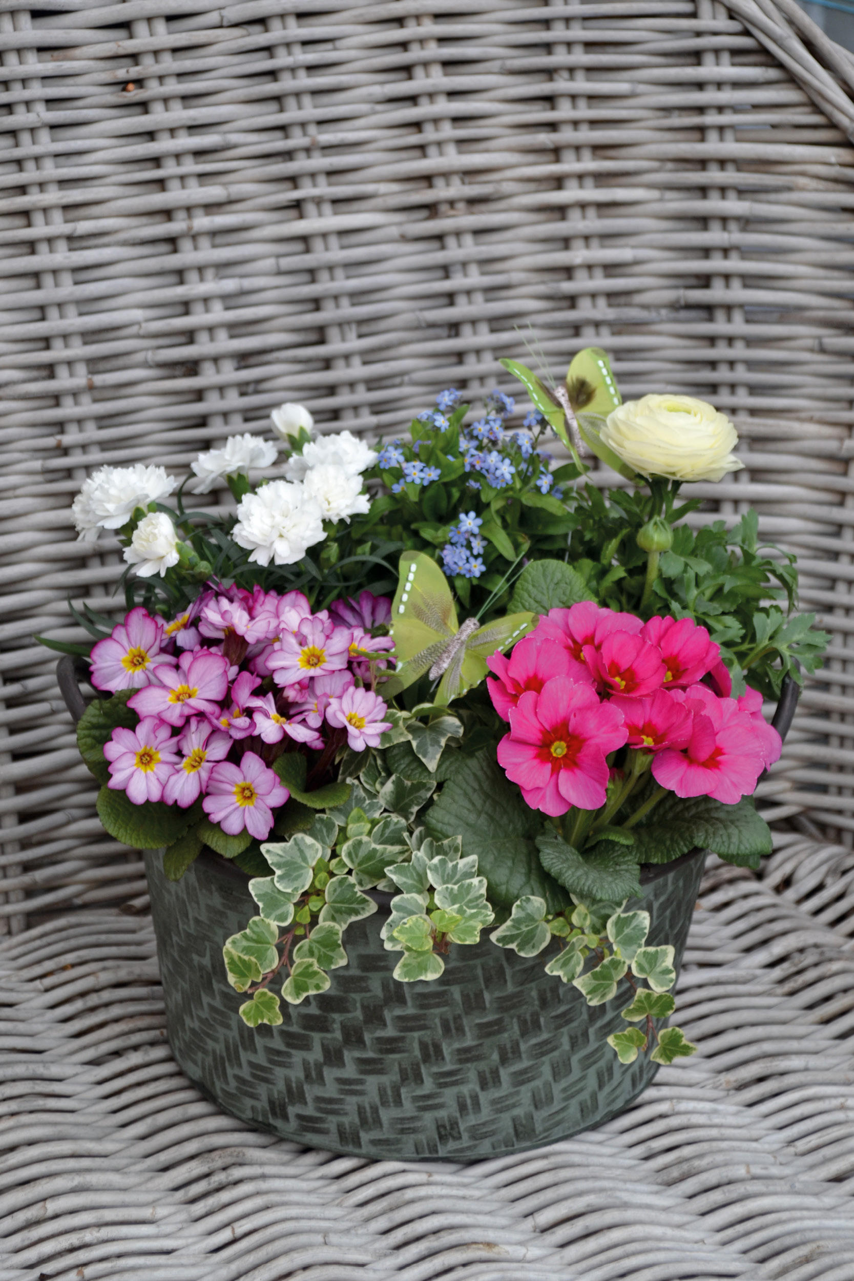 Nos metiers kit plantes printemps3