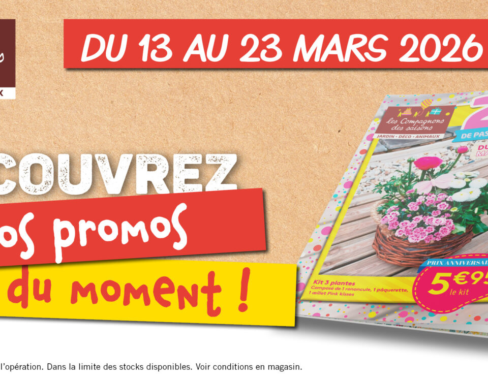 promo plantes printemps jardin