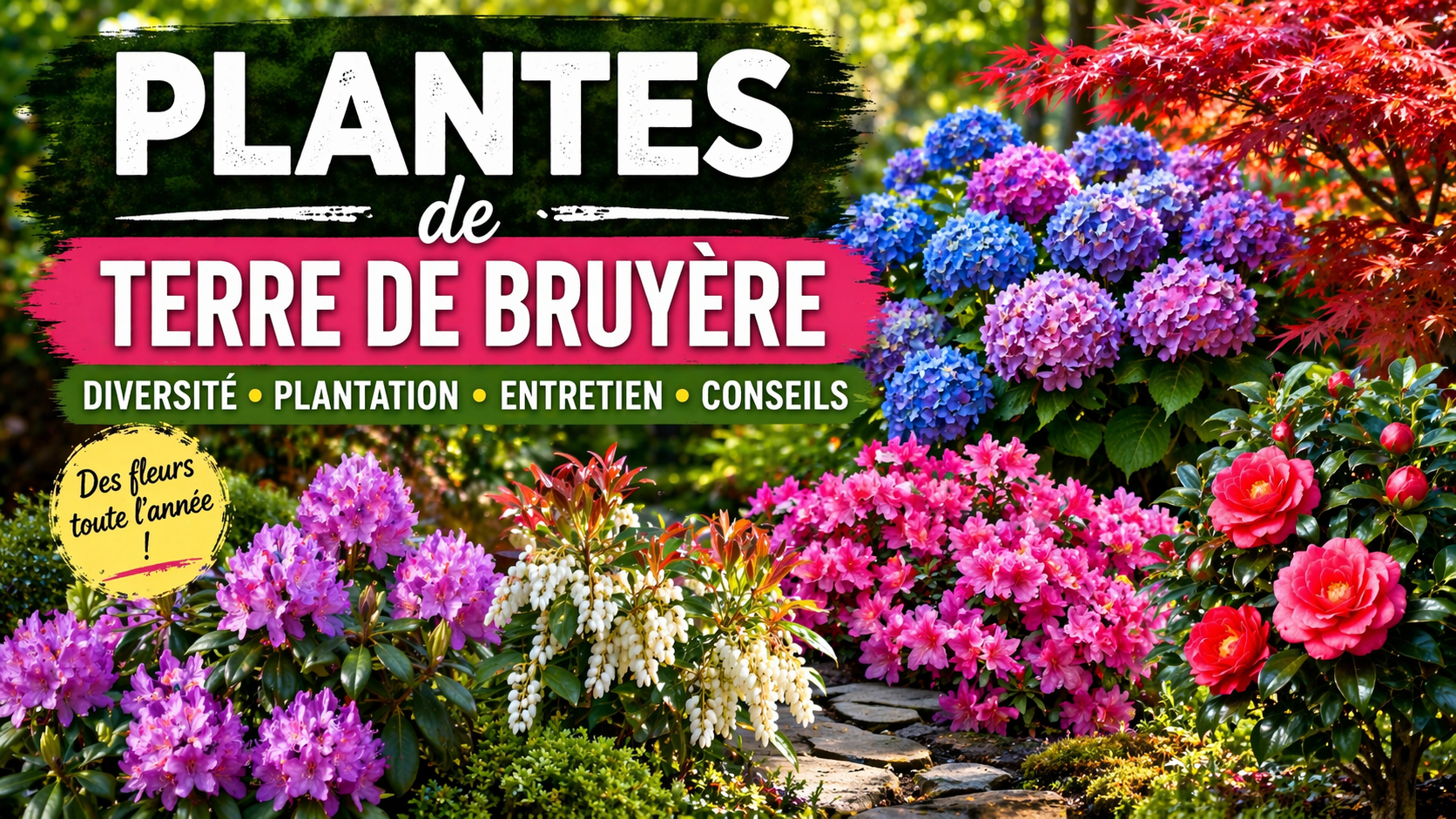 plantes de terre de Bruyère
