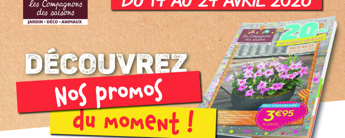 promos plantes printemps fleurs potager tombola