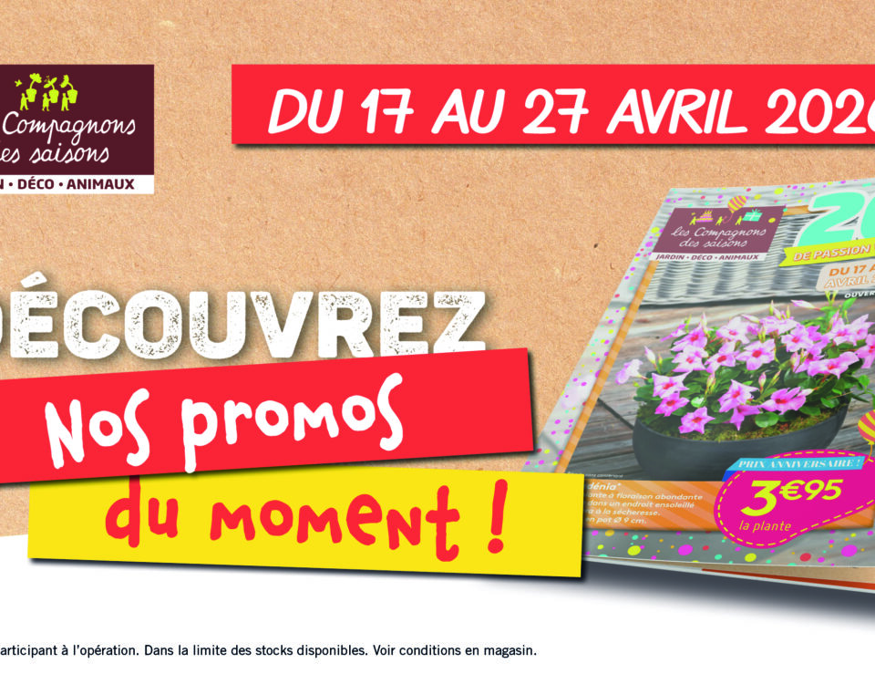 promos plantes printemps fleurs potager tombola