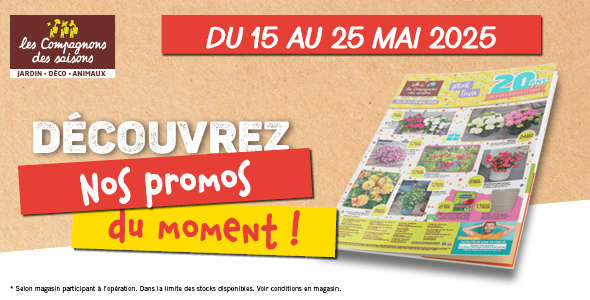 promotions jardin 2026 plantes fleuries promotions jardin 2026 plantes fleuries
